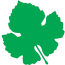 عنب بلدي Logo